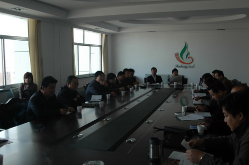公司黨委召開黨委擴大會，部署安排學習貫徹十七大精神